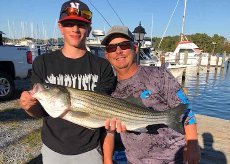 big striper with walleye pete