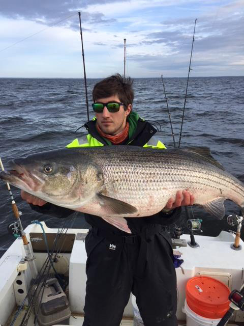 monster striped bass