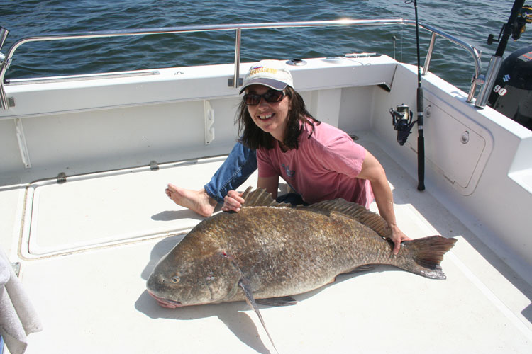 black drum fishing