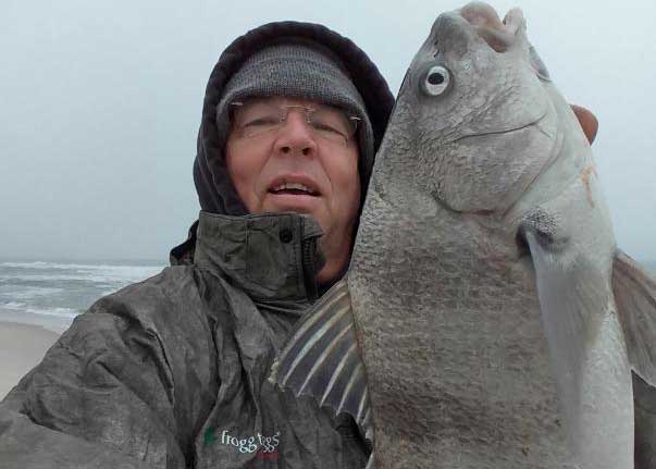 black drum fish caught surf fishing