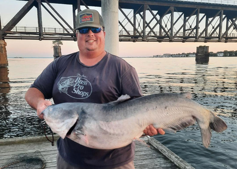 blue catfish susquehanna