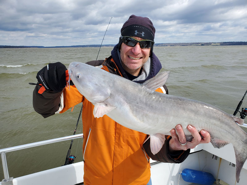 fisherman with a blue catfish from the potomac river