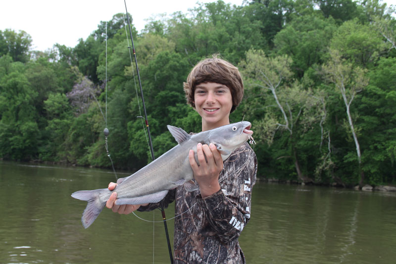 blue catfish in the potomac river