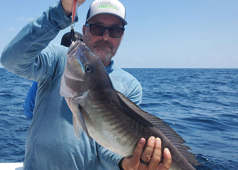 jigging for blueline tilefish
