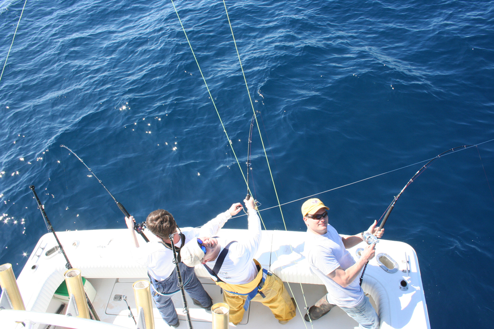 jigging for bluefin tuna