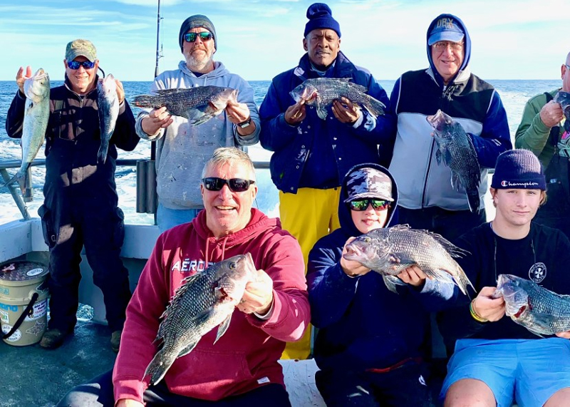 bluefish and sea bass on morning star