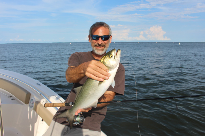 angler with a bluefish