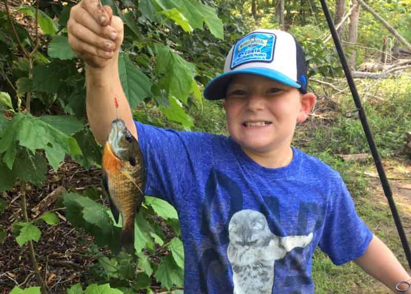 sunfish in the bay