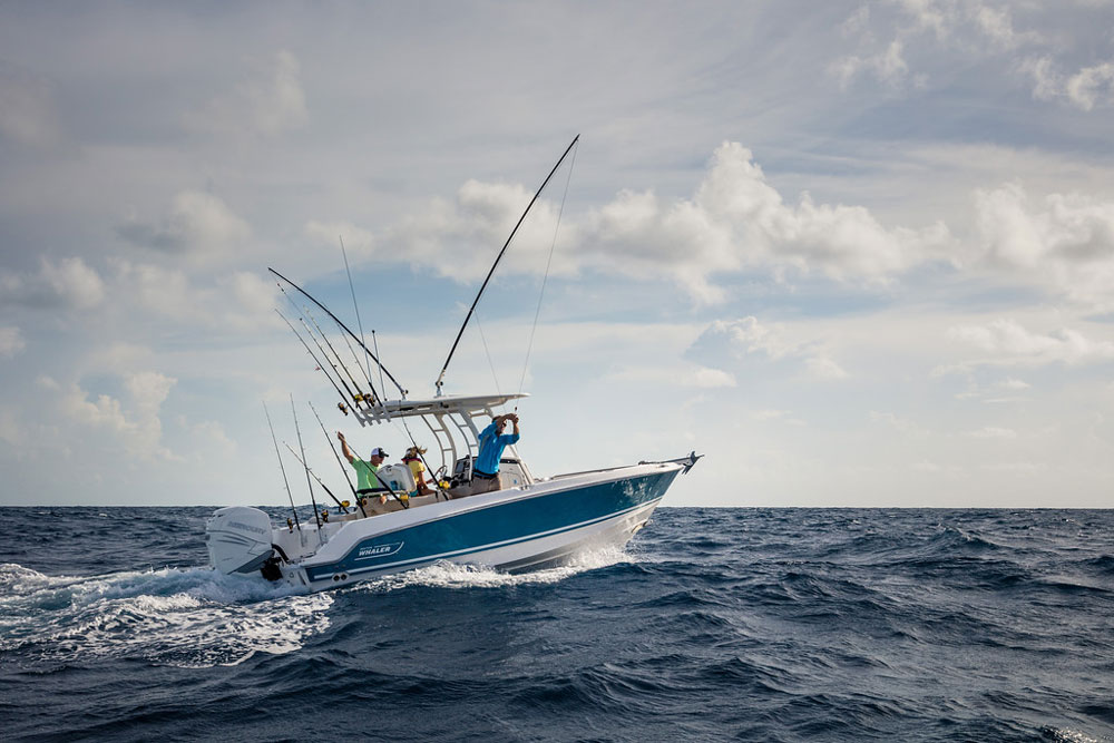 Boston Whaler 230 Outrage Stick To Your Guns Fishtalk Magazine