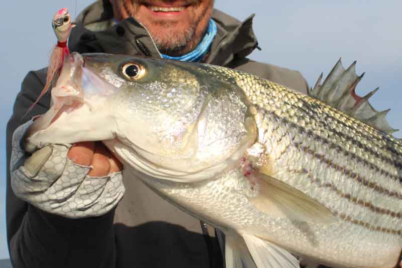 fish with a bucktail lure in its mouth