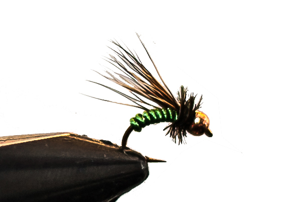 caddis fly for fly fishing