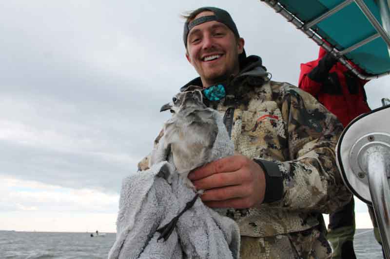 angler caught a seagull