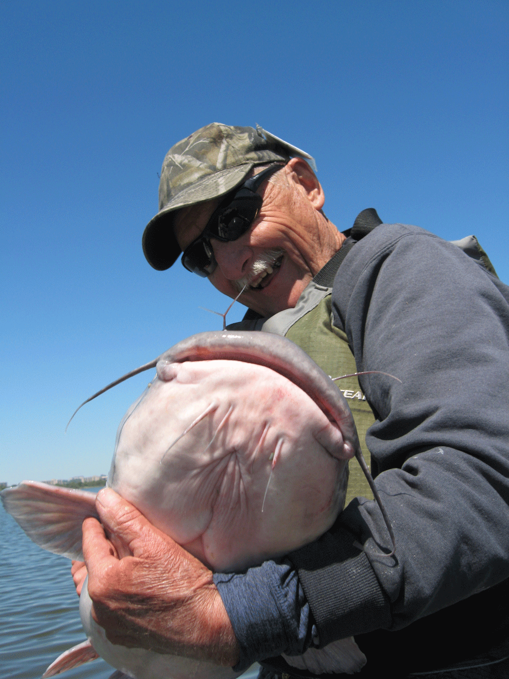 giant blue catfish