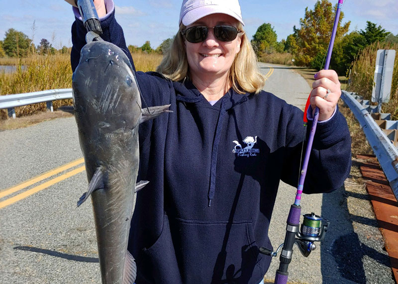 angler with a catfish