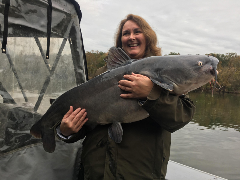 angler with huge catfish