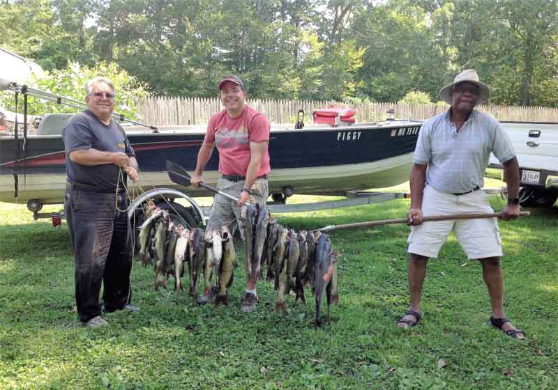 tons of catfish