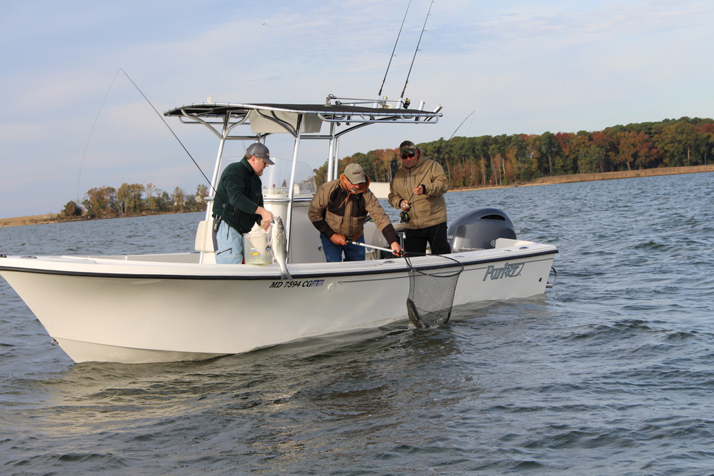 fishing from a center console boat