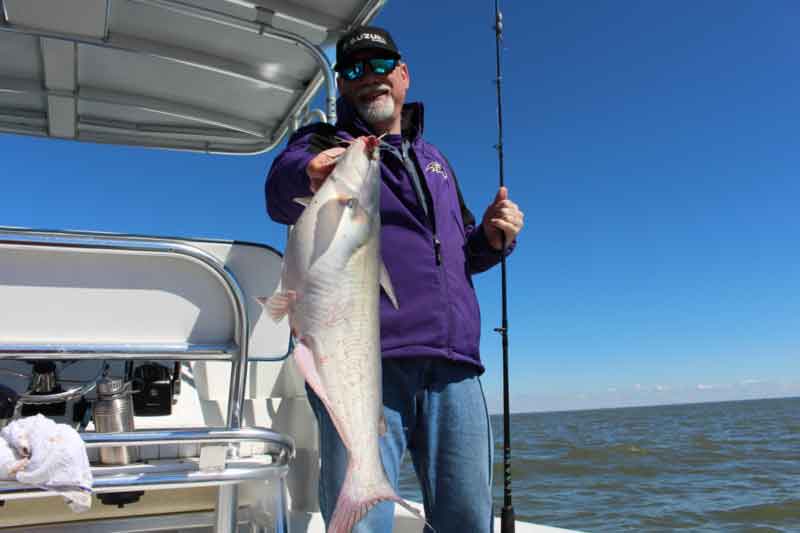 Tidal Tigers: Channel Catfish on the Chesapeake and its