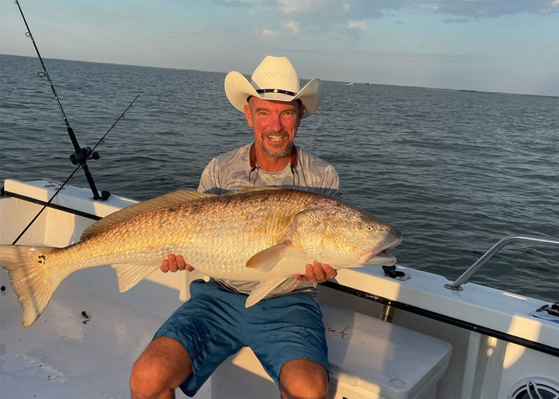 bull redfish in the chesapeake bay