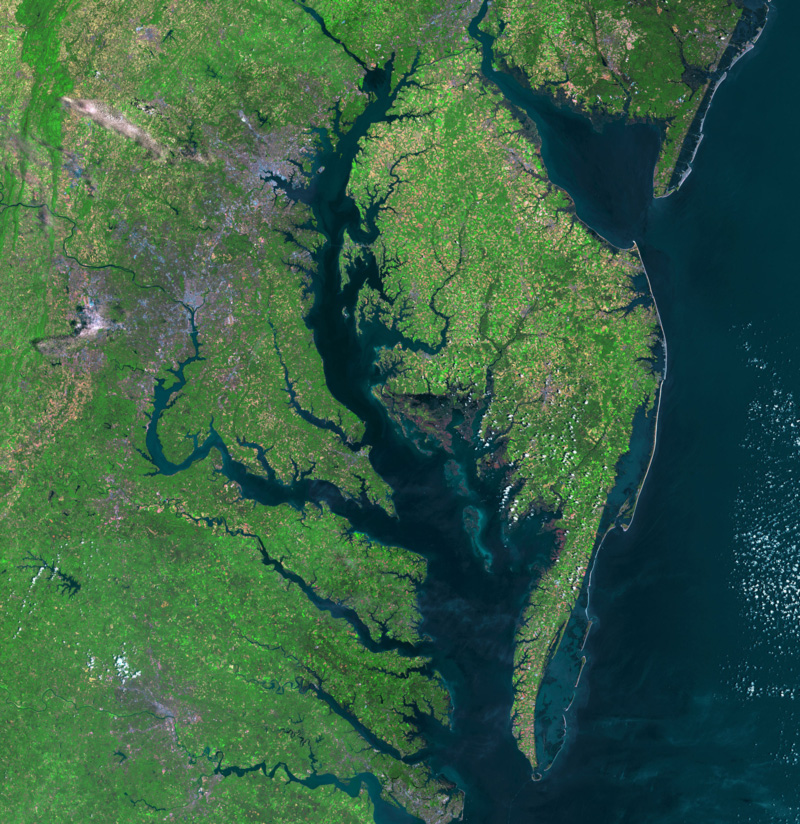 chesapeake bay