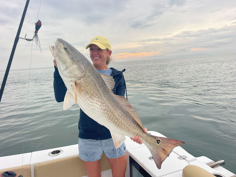 huge chesapeake bay bull redfish