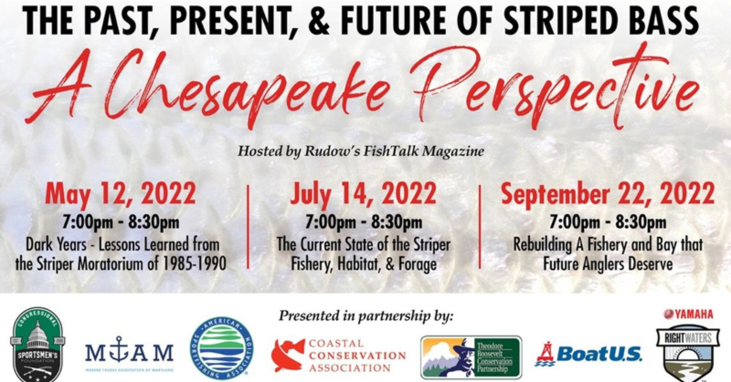 chesapeake perspective
