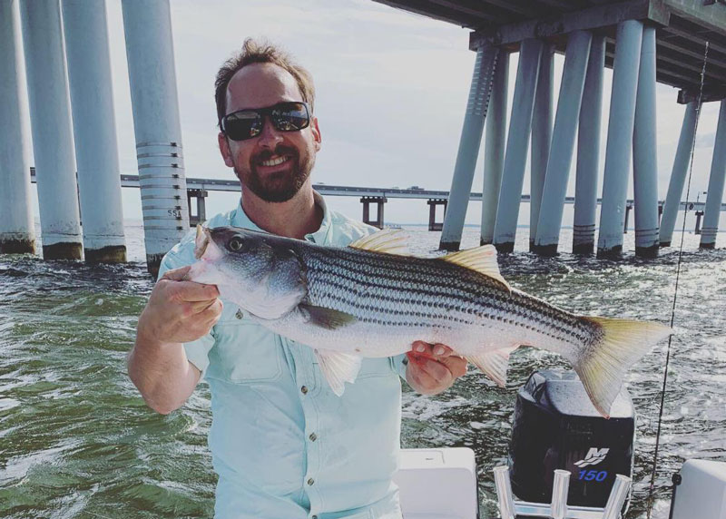 chumming for rockfish