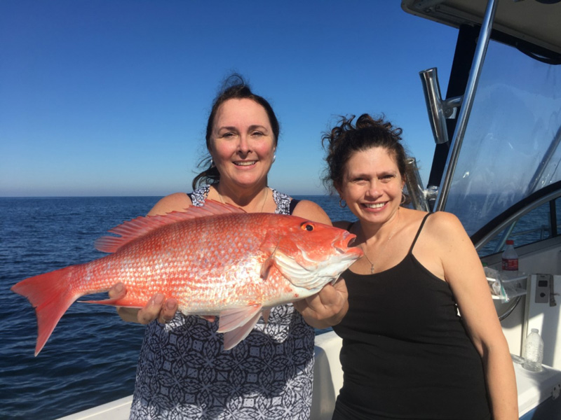 coastal fisherman red snapper