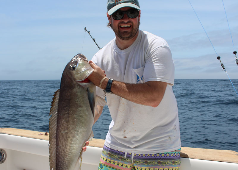 blueline tilefish caught offshore