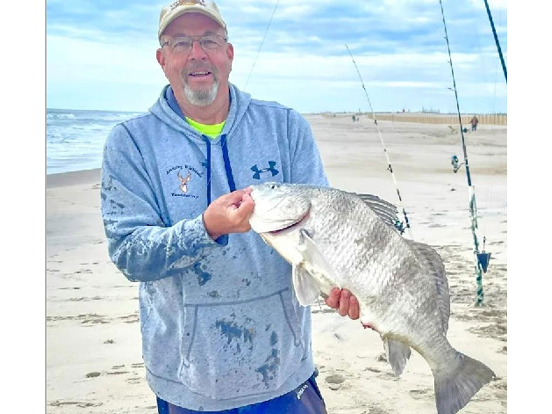 surf fishing for black drum