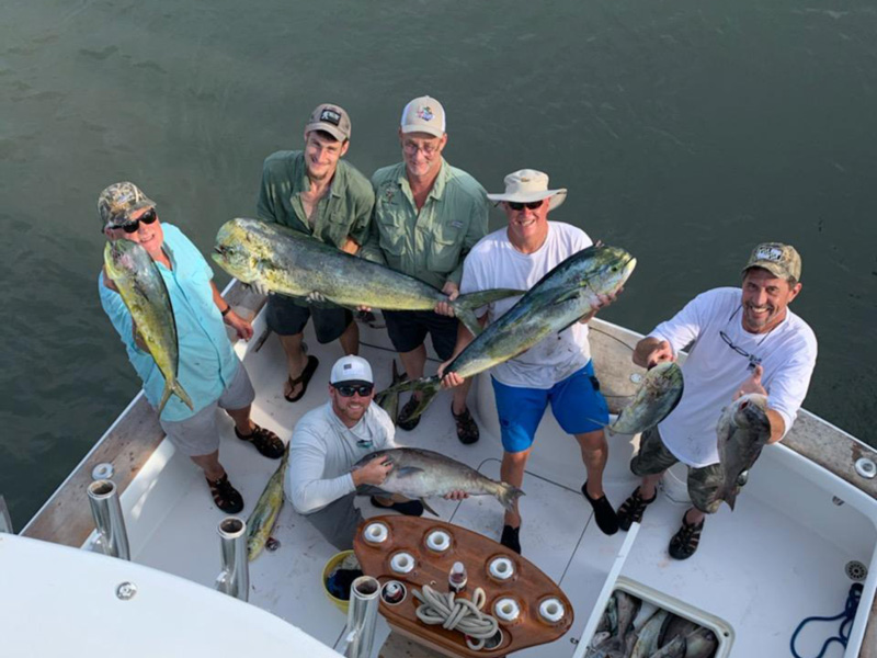 lots of mahi mahi offshore trolling