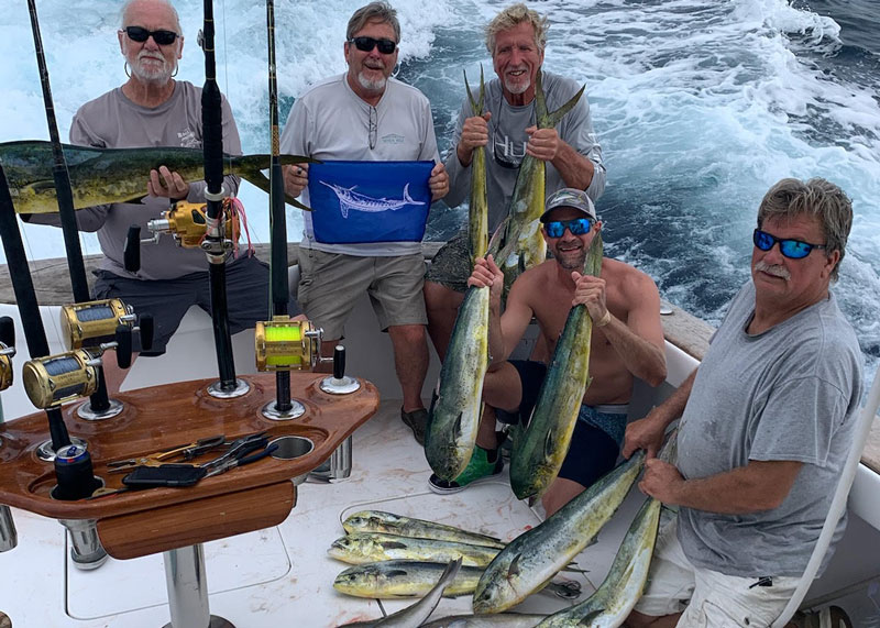 mahi on the heatwave