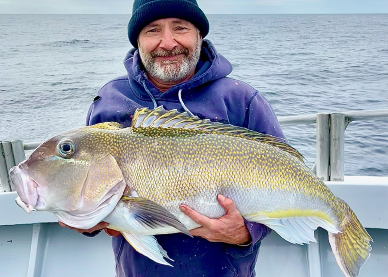 tilefish on the morning star