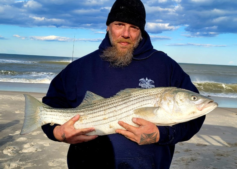 surf fishing striper