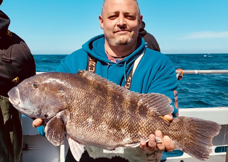 big tautog caught on wreck