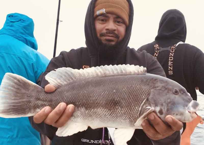 angler holds up a tautog