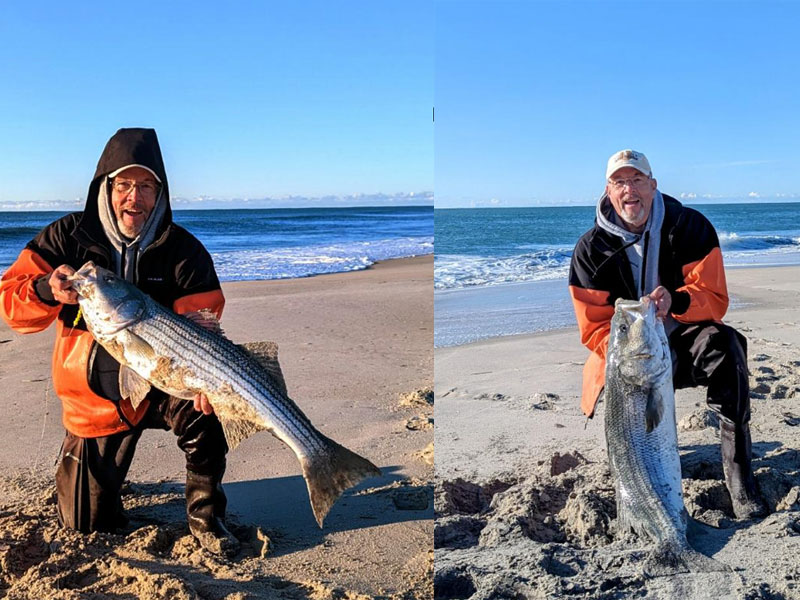 stripers in the surf