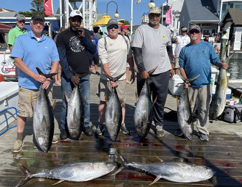 anglers with yellowfin tuna