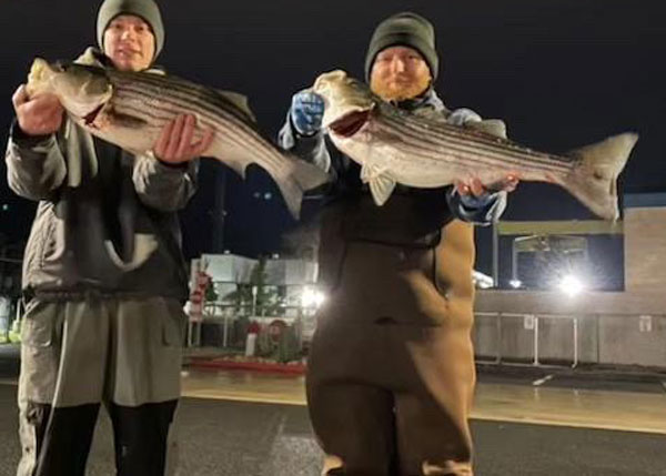 coastal tautog fishing in winter