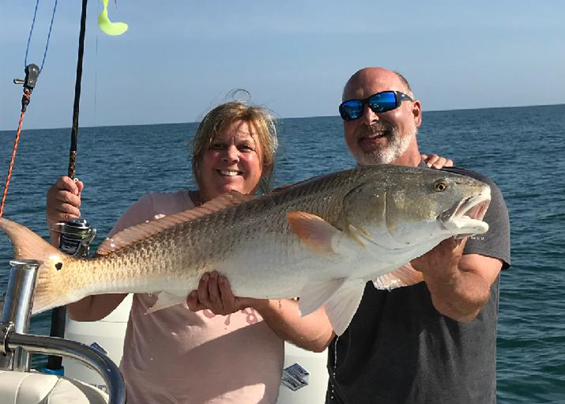 ocean red drum