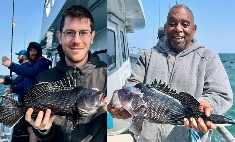 black sea bass fishing