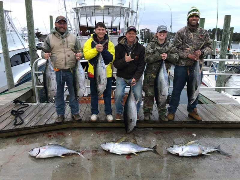 yellowfin tuna off north carolina