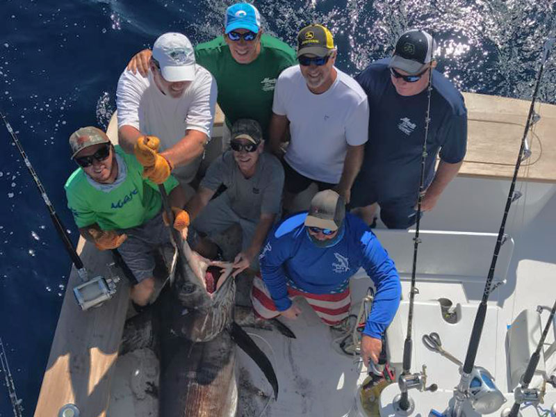 swordfish caught on a boat