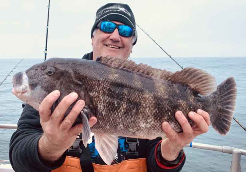 tautog