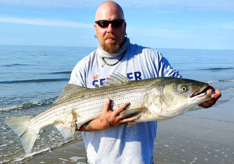 huge rockfish in the surf