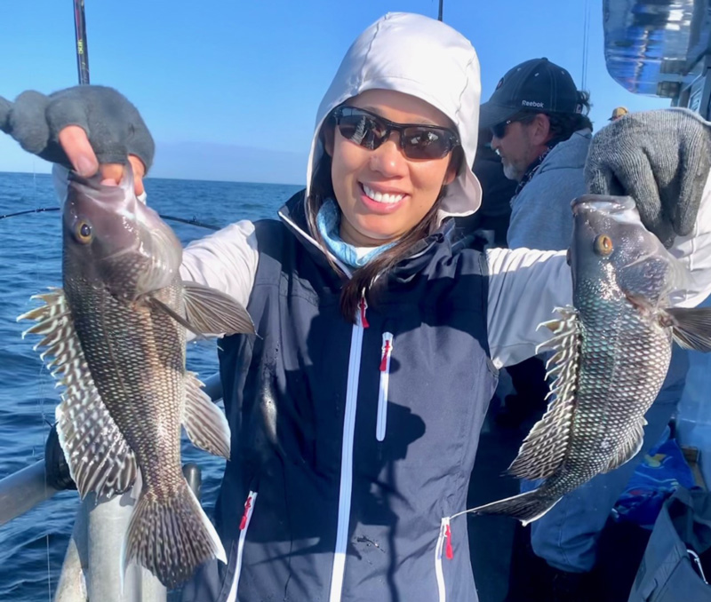 coastal fishing for sea bass