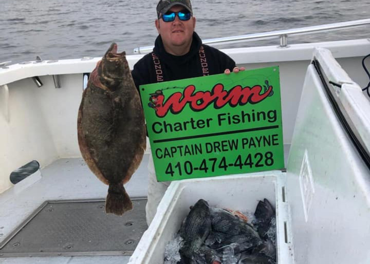 flounder on the wrecks