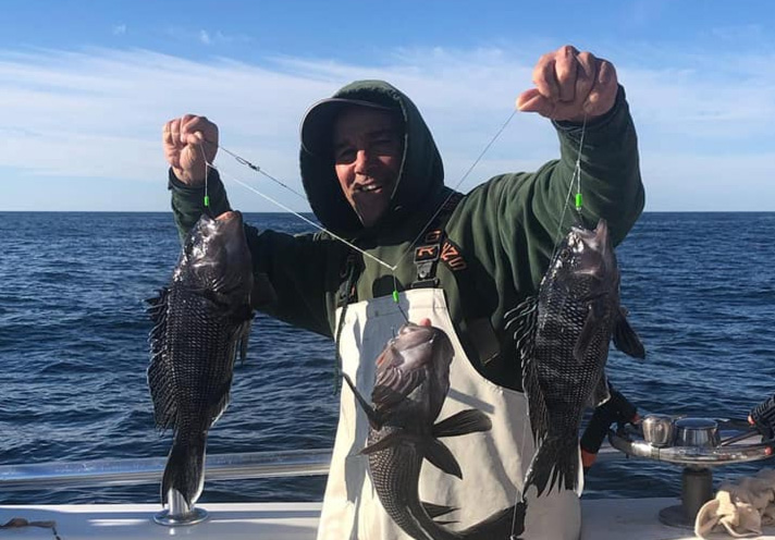 coastal fishing report sea bass picture