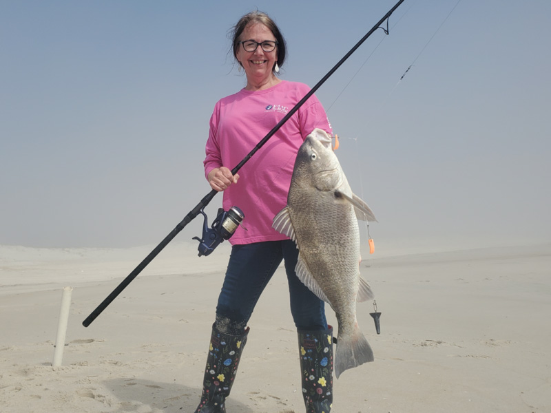 coastal surf fishing for drum