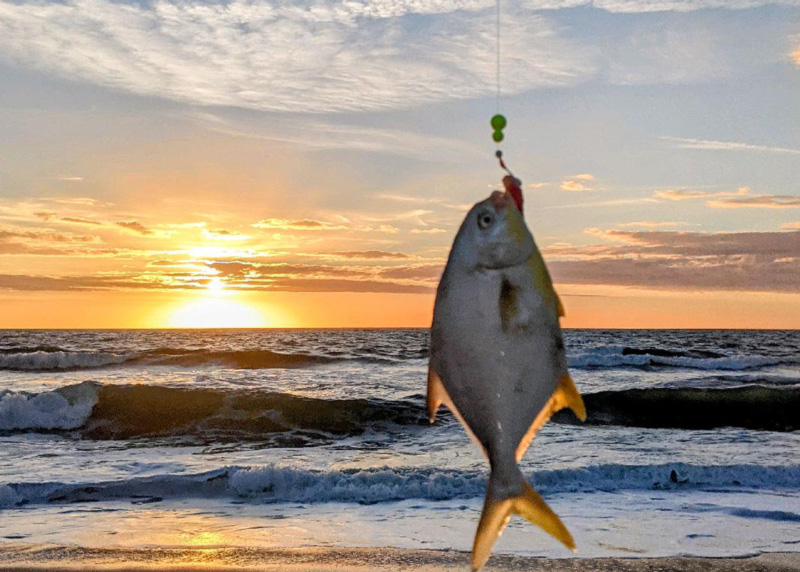 pompano on the beach